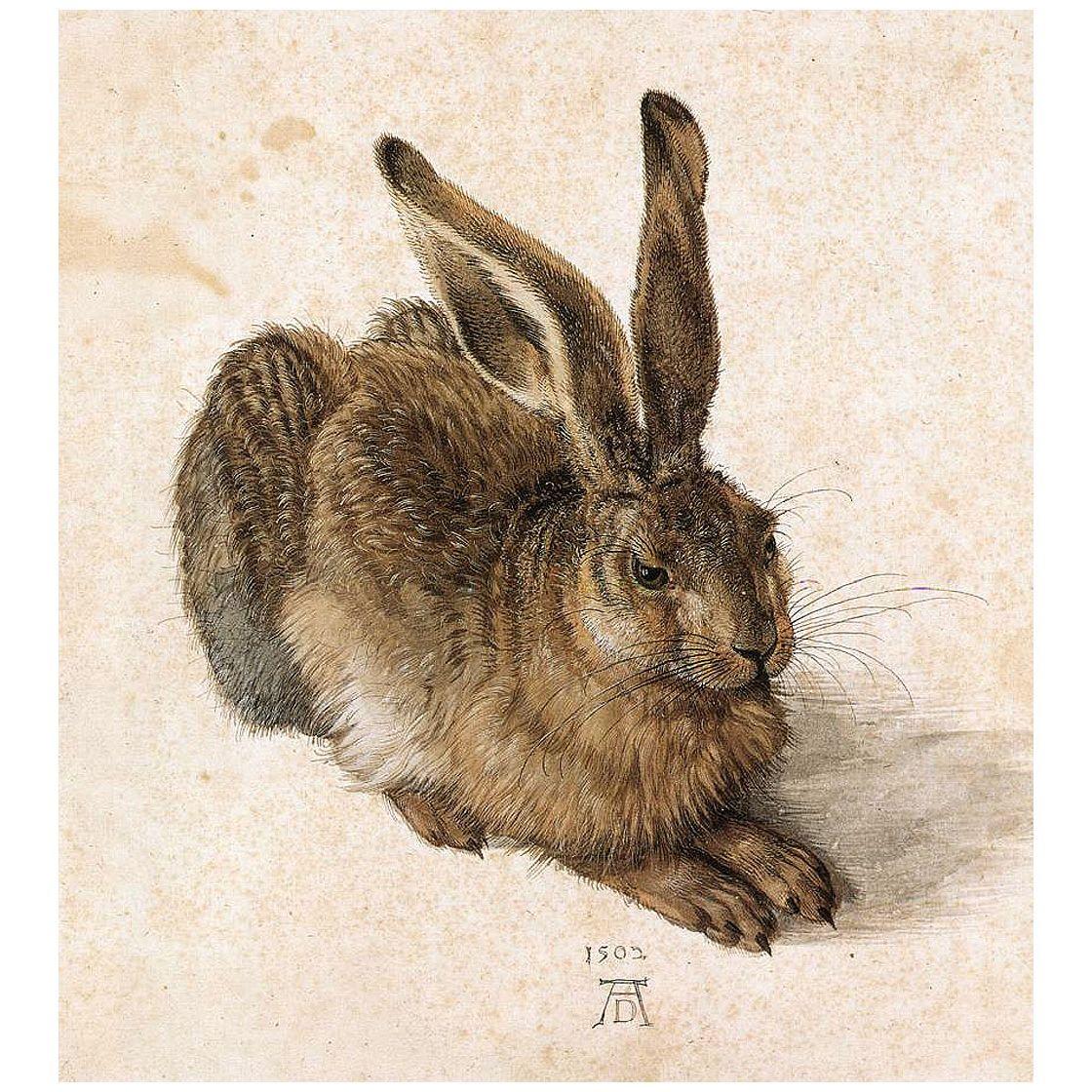 Albrecht Durer. Young Hare. 1502. Albertina Wien