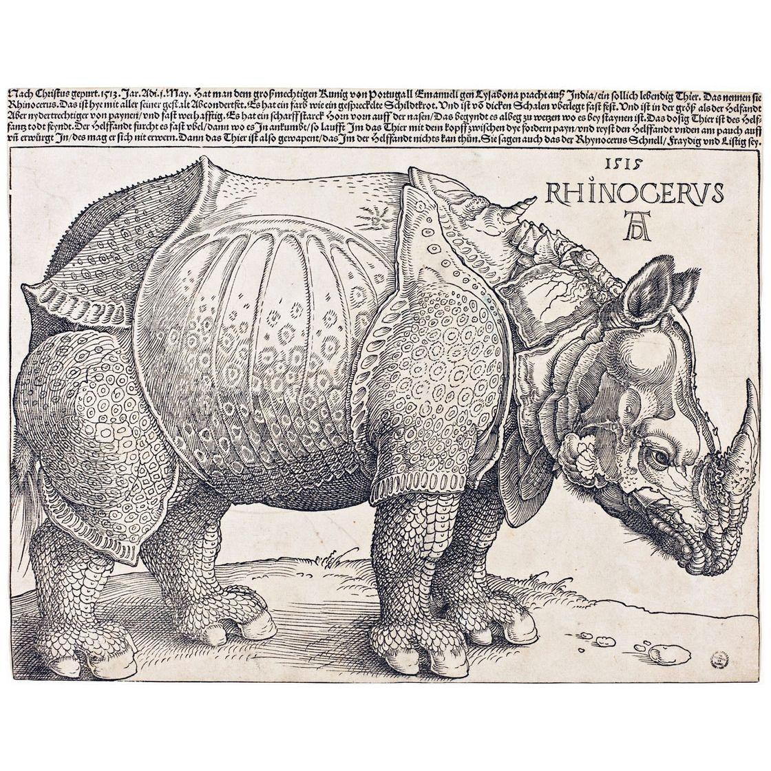 Albrecht Durer. The Rhinoceros. 1515. British Museum London