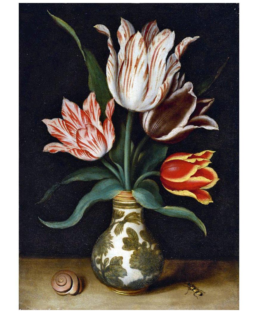 Ambrosius Bossсhaert de Oude. Stilleven van vier tulpen. 1610s. Private collection