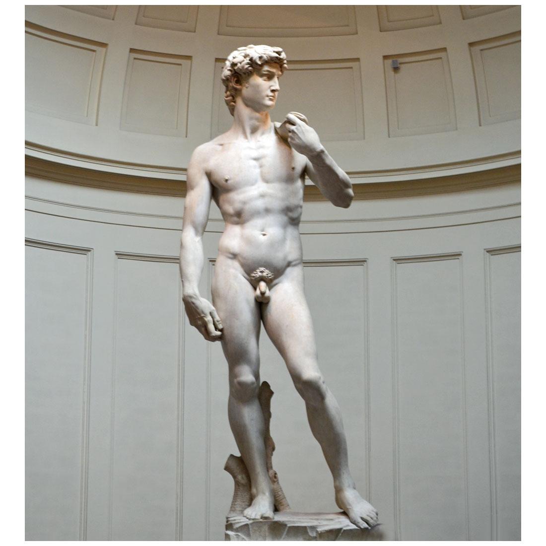 Michelangelo Buonarroti. David. 1502-1508. Academia di belle arti, Firenze