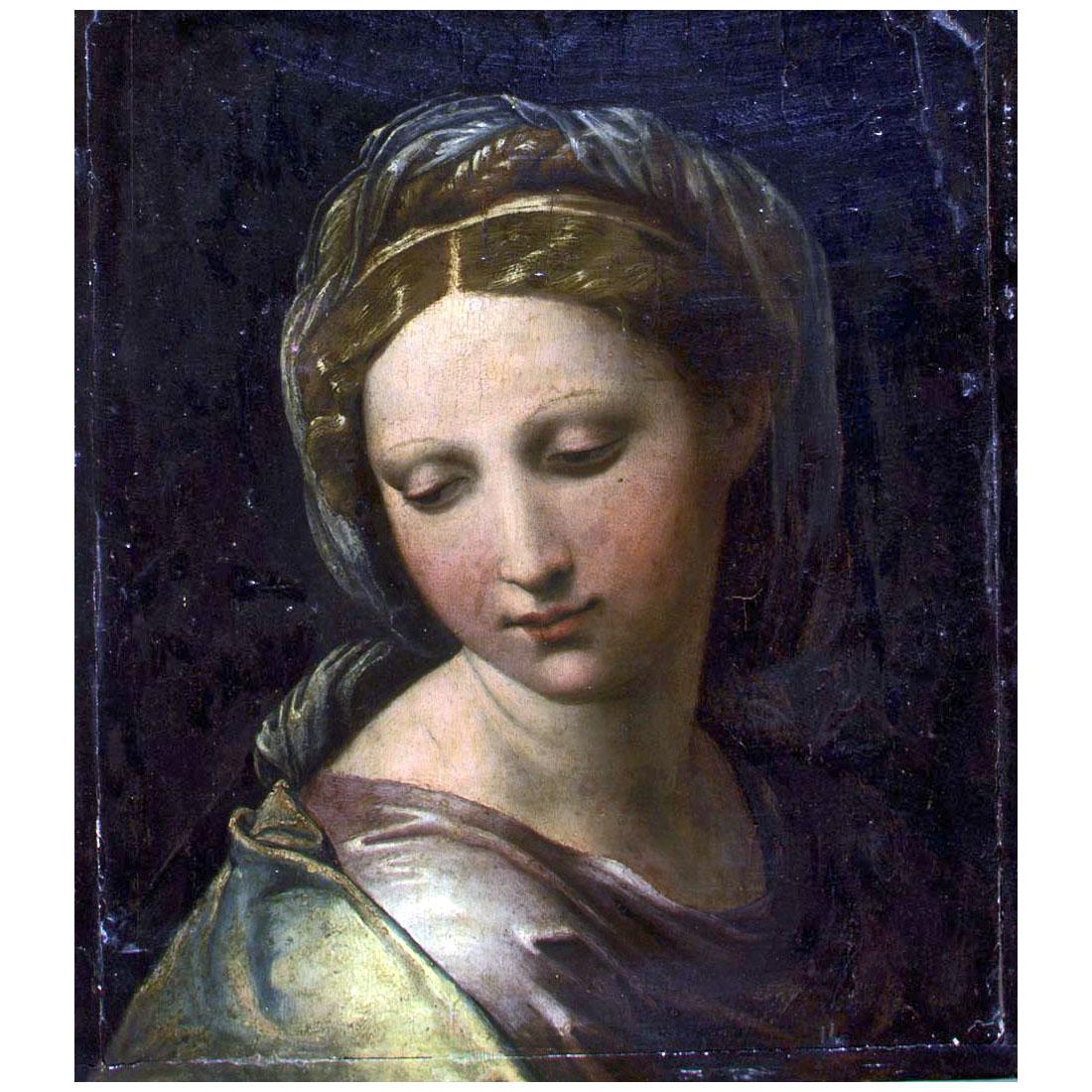Raffaello Sanzio. Perla di Modena. 1518-1520. Galleria Estense Modena