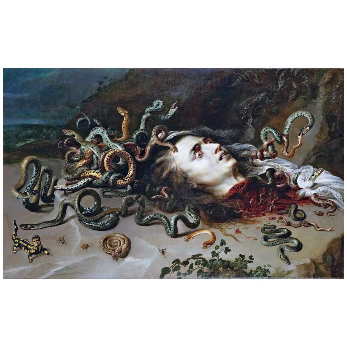 Peter Paul Rubens. Medusa. 1618. Moravian Gallery Brno