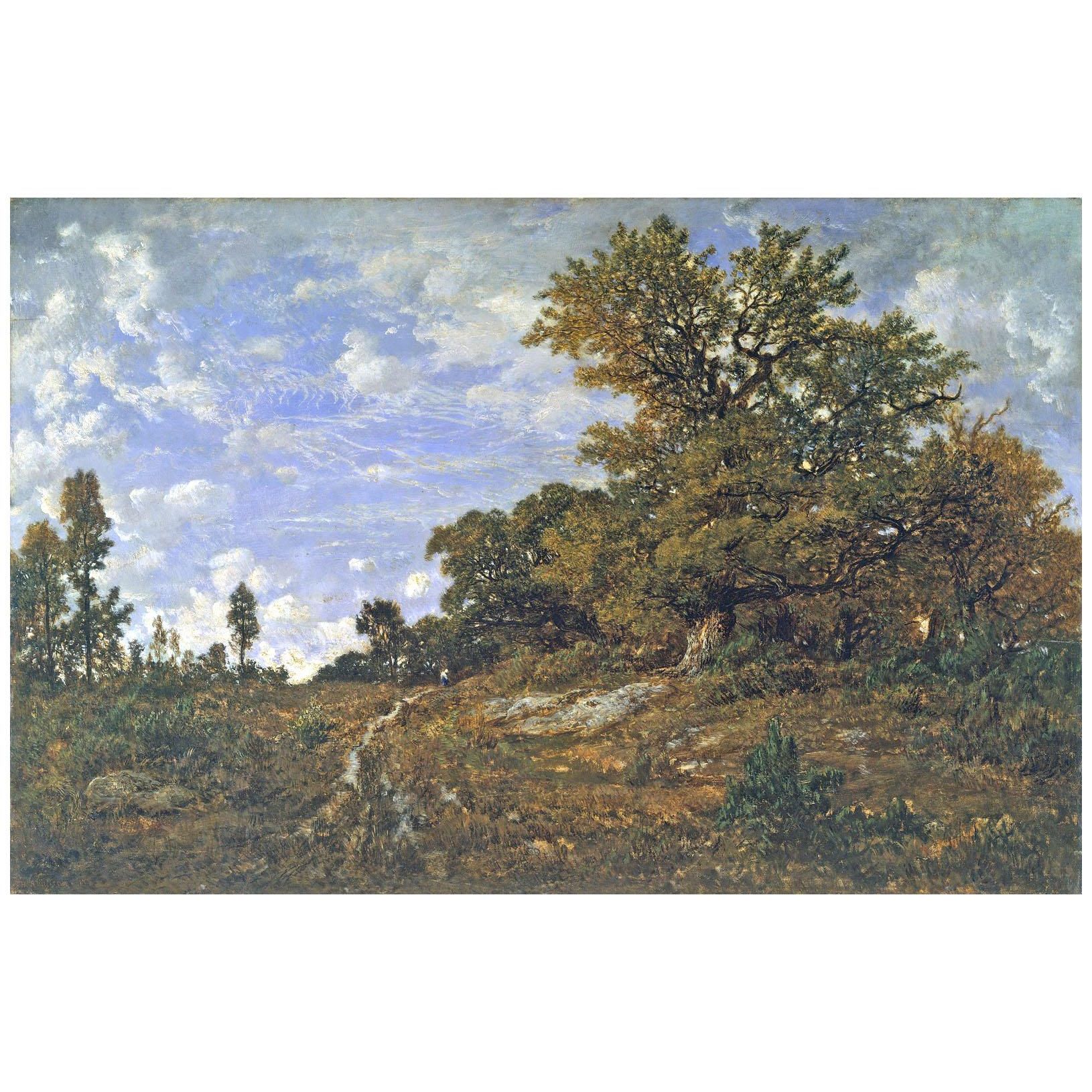 Theodore Rousseau. Forêt de Fontainebleau. 1854. Metropolitan Museum NY