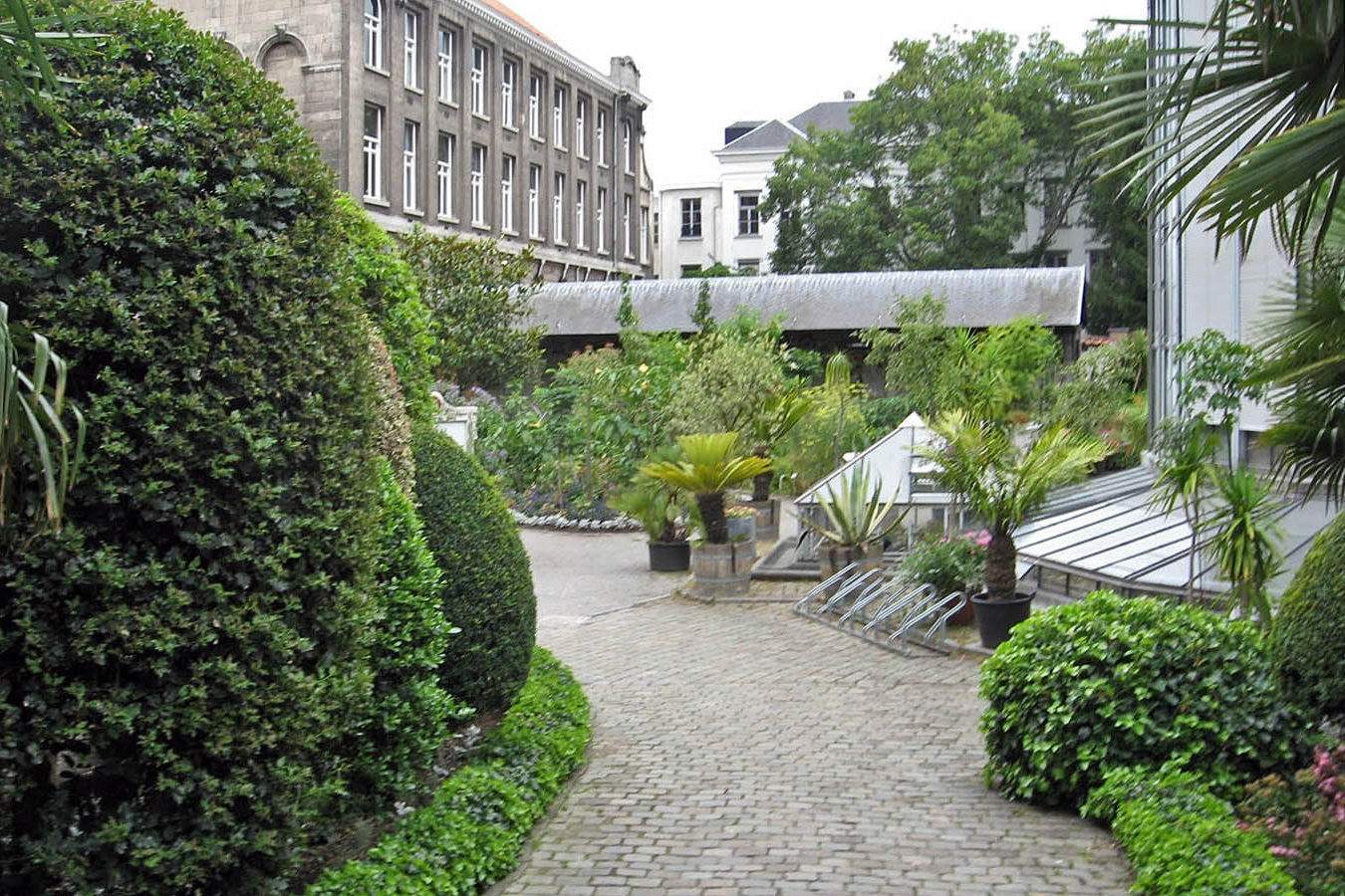 Antwerpen Botanische Tuin