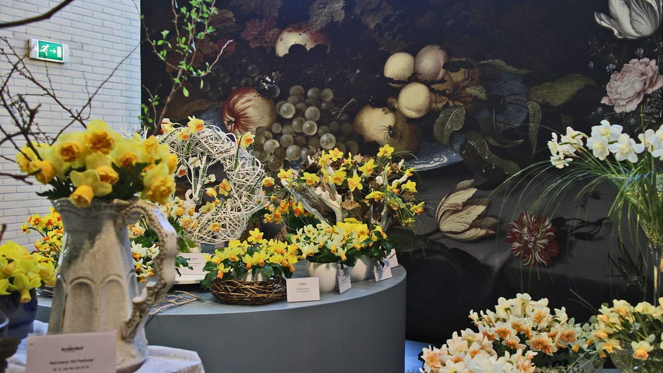 Keukenhof Daffodil Show