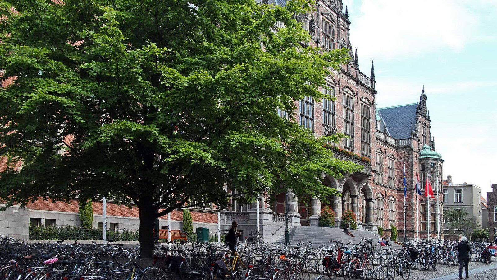 Groningen. Rijksuniversiteit