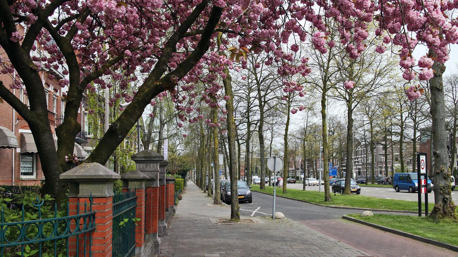 Неймеген, Нидерланды. Nijmegen, Netherlands