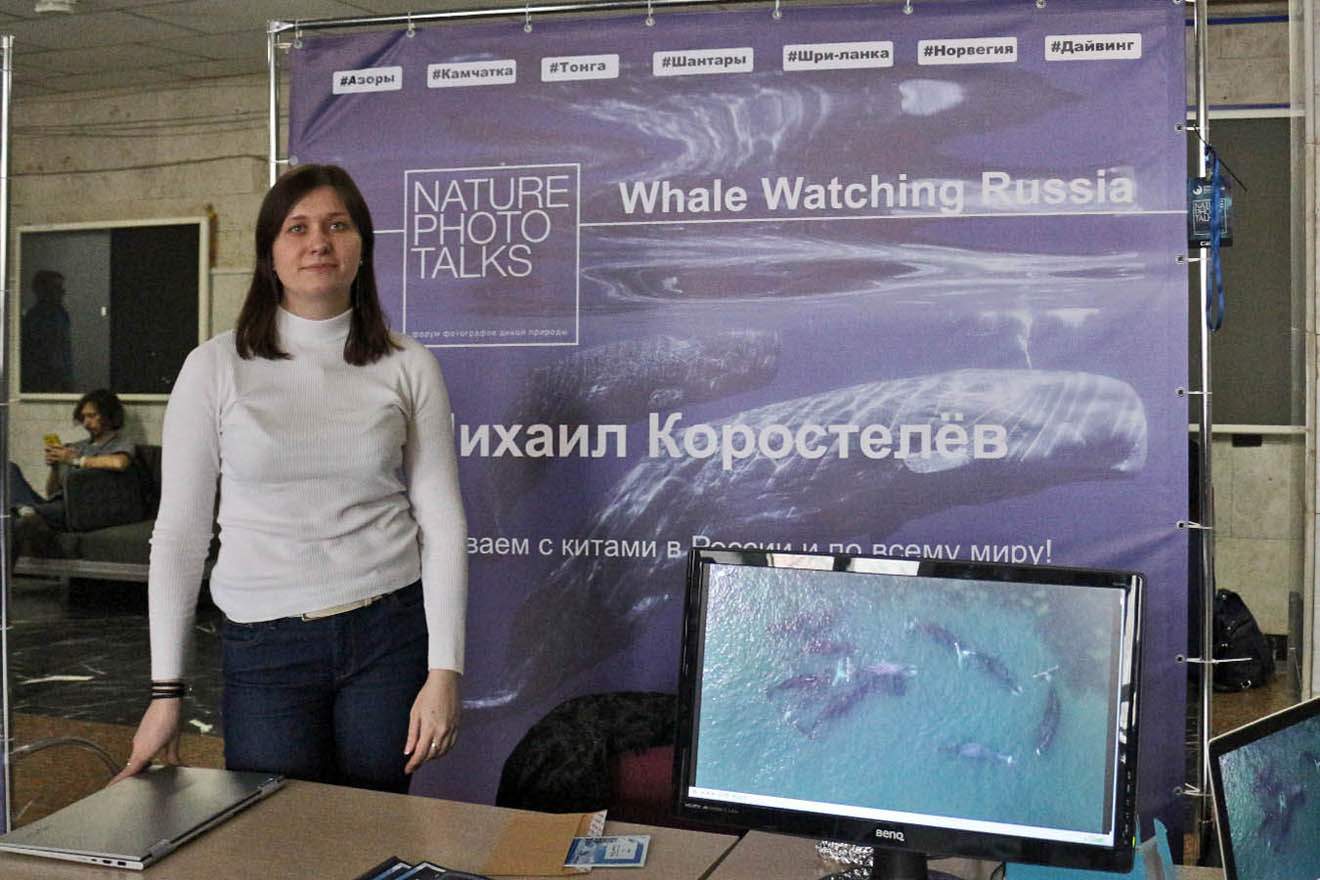 Whale Watching Russia