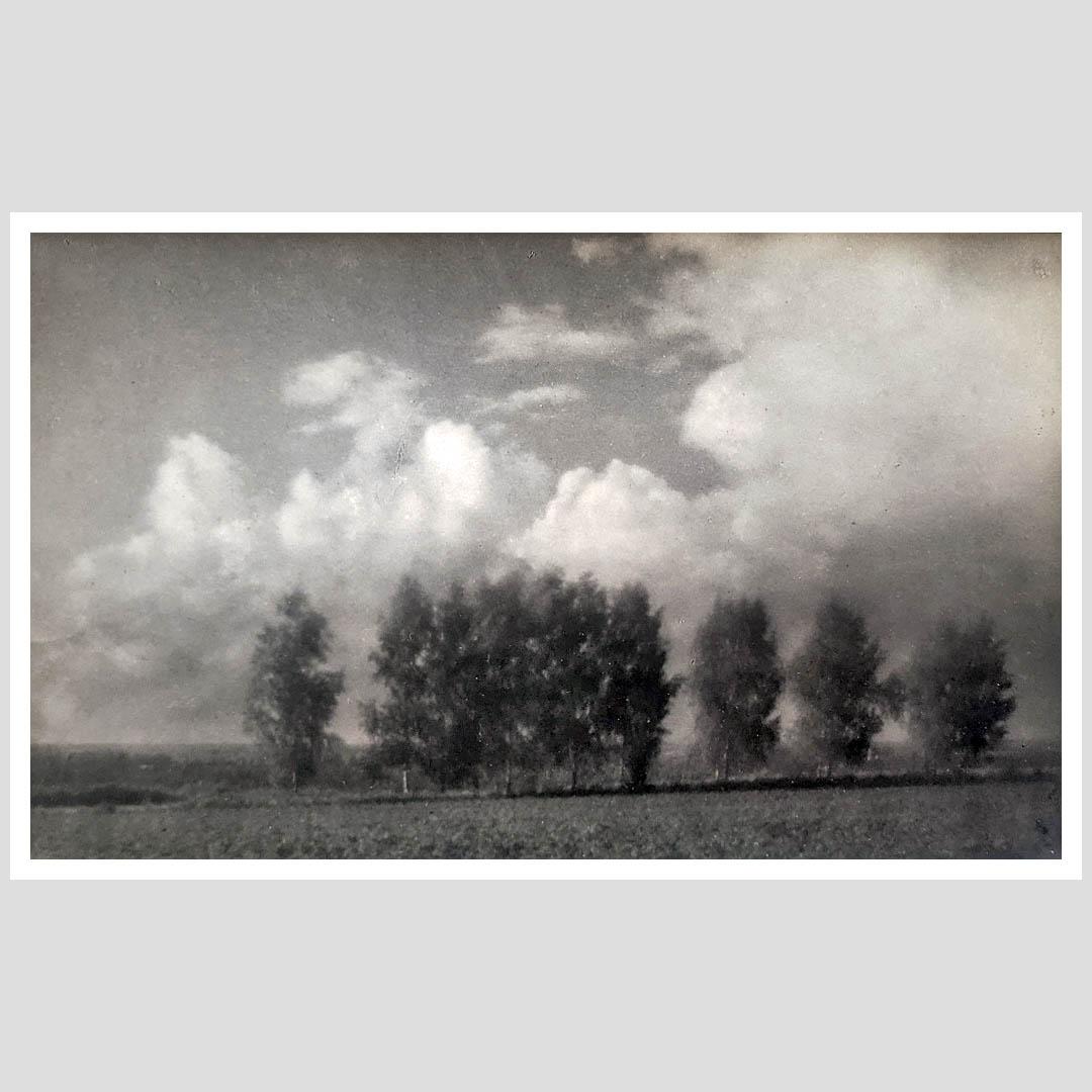 Николай Андреев. Облака и деревья. 1920-е