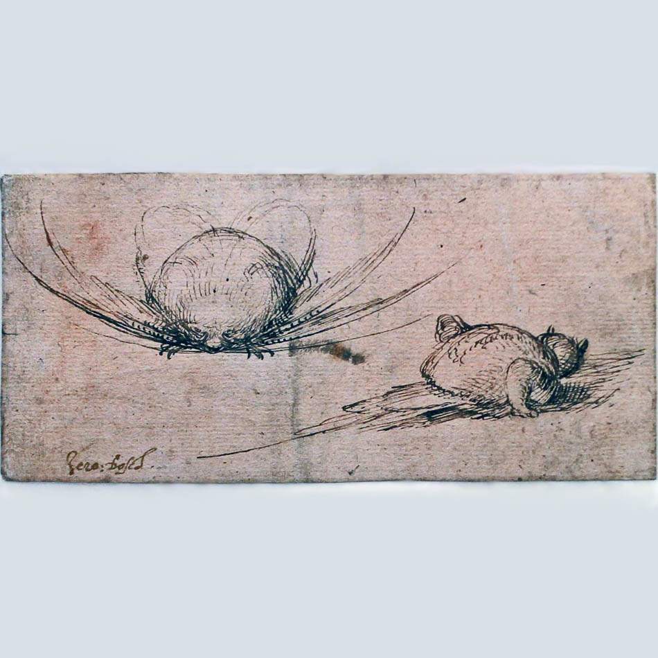 Иероним Босх. Два монстра. 1505-1515, перо, бистр