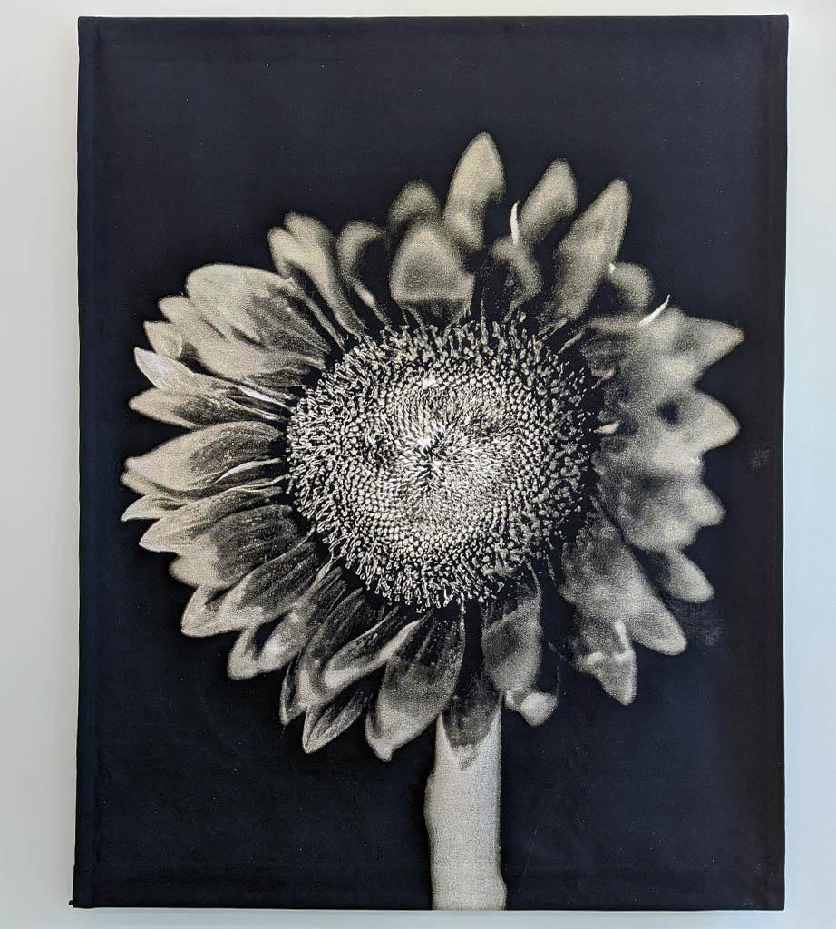 Chuck Close. Sunflower. 2007. Jacquard tapestry
