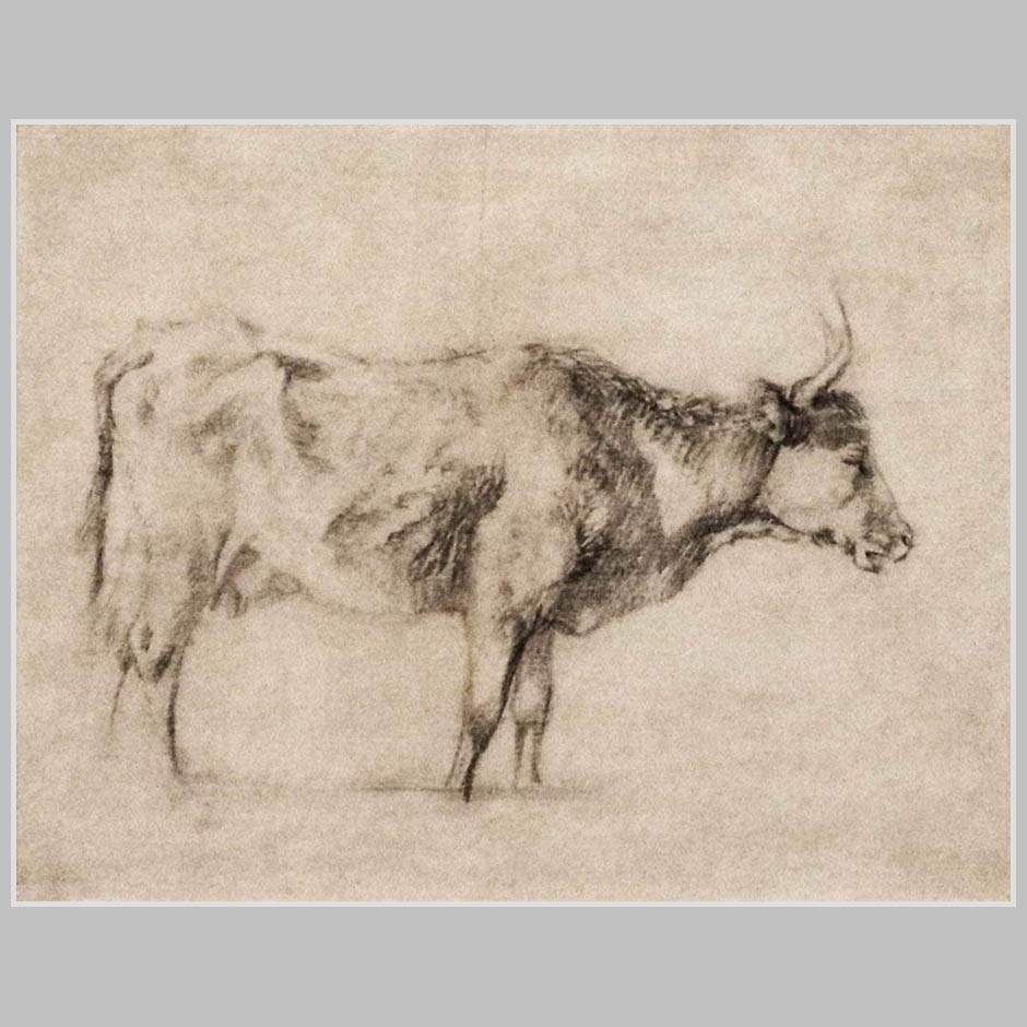 Томас Гейнсборо. Стоящая корова. Ок. 1755