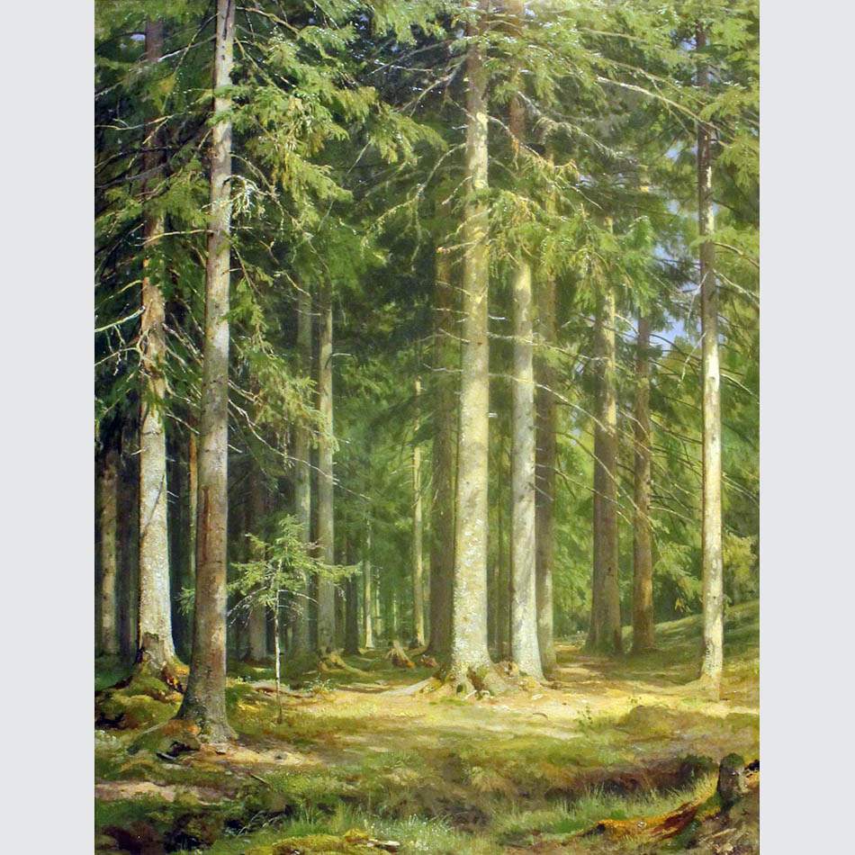 Иван Шишкин. Еловый лес. 1891
