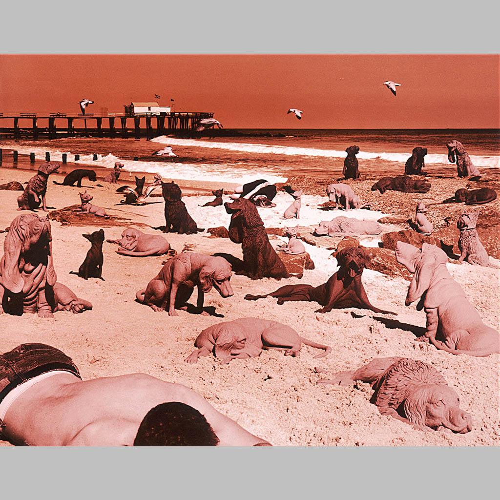 Sandy Skoglund. Dogs on the Beach. 1992