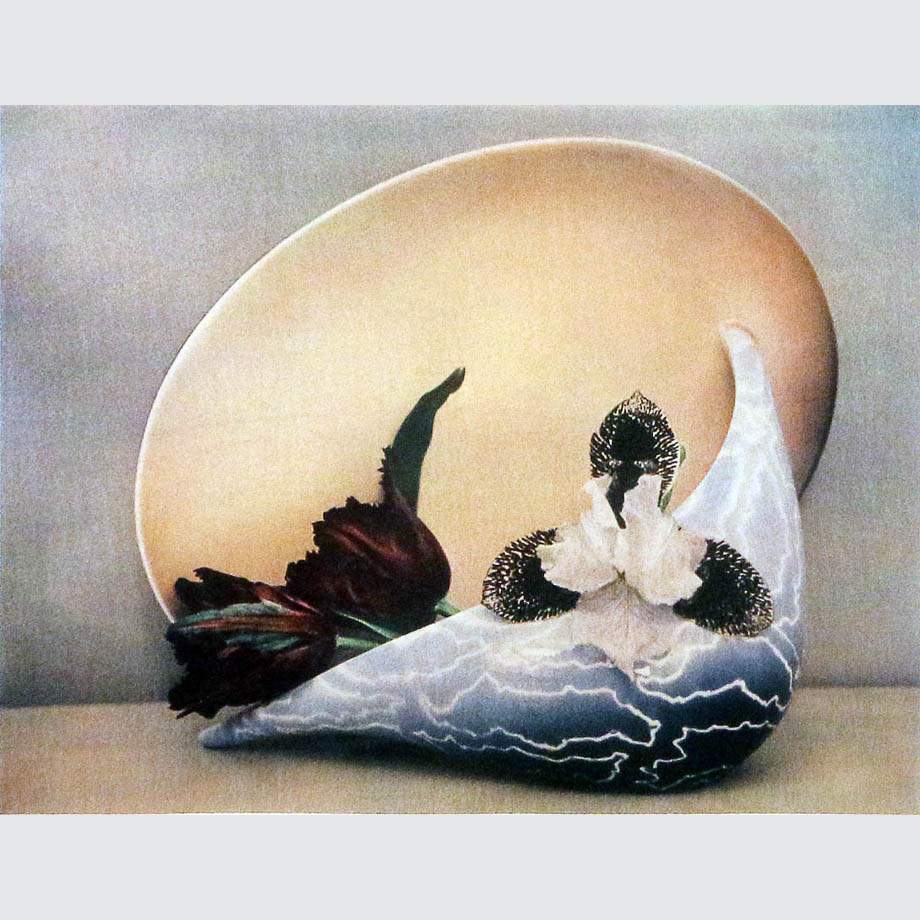 Шейла Мецнер. Ваза-раковина с цветами. 1987