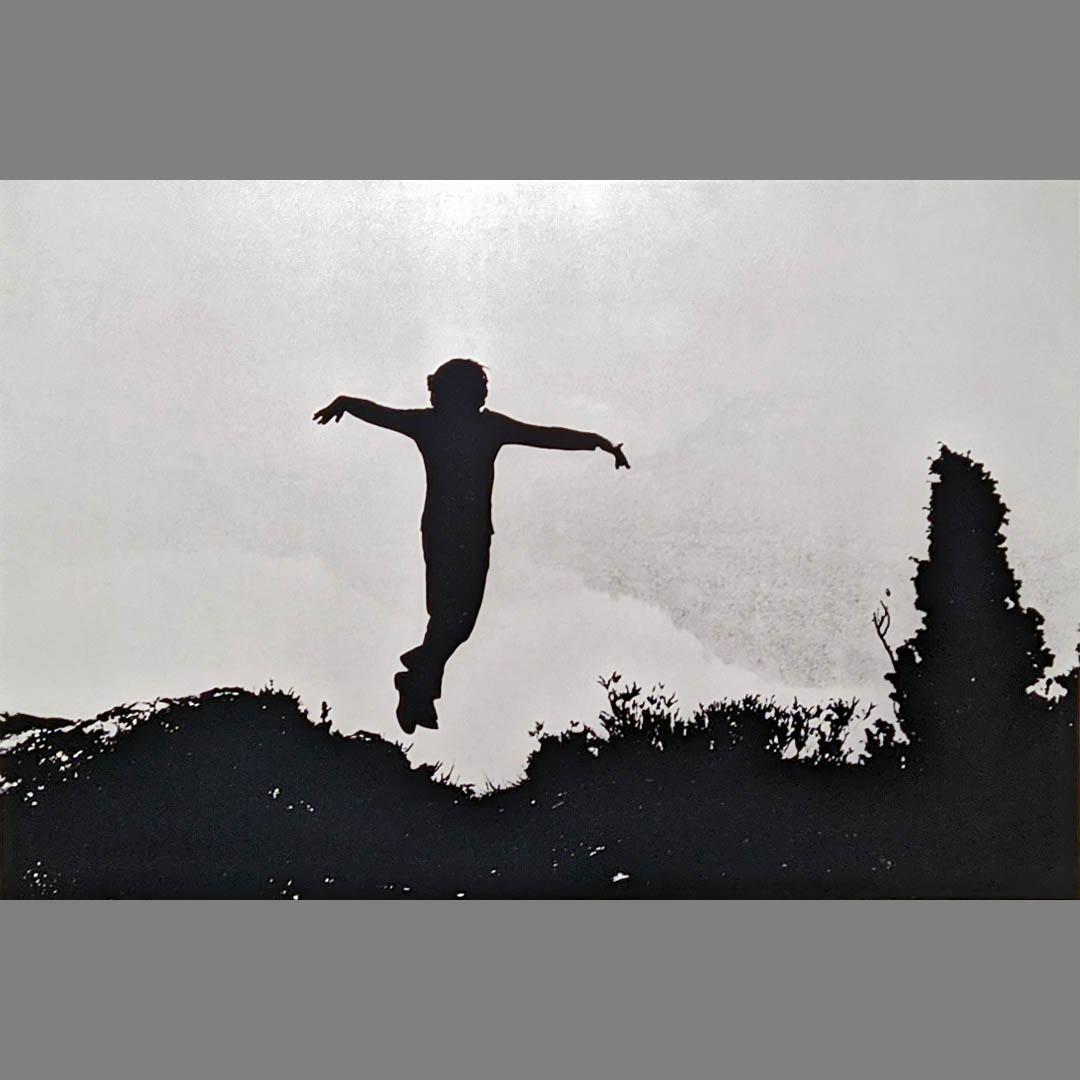 Джино де Доминичис. Попытка полета. 1969
