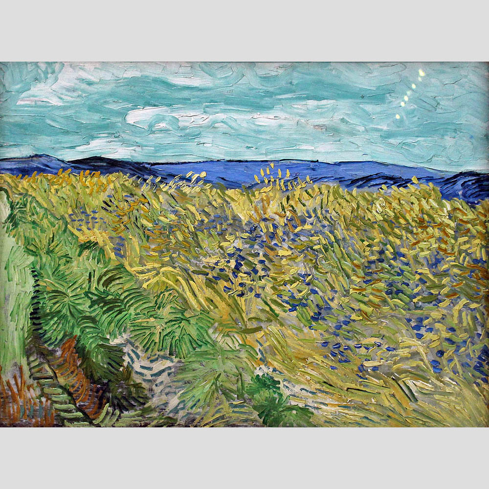 Vincent van Gogh. Wheatfield with Cornflowers. 1890