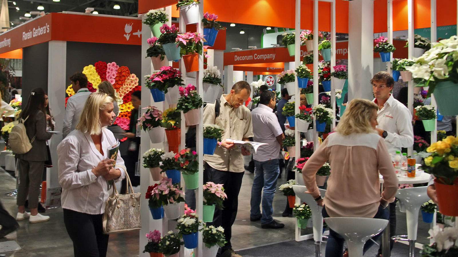 Flowers Expo 2017